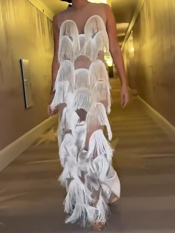 Fringe Trim Lace Overlay Dress