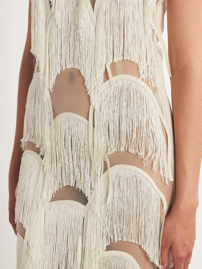 Fringe Trim Lace Overlay Dress