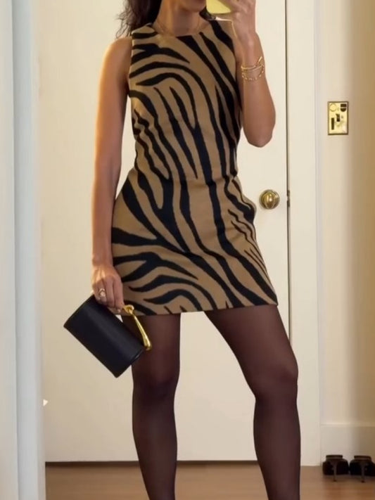 Tiger Stripe Knit Mini Dress